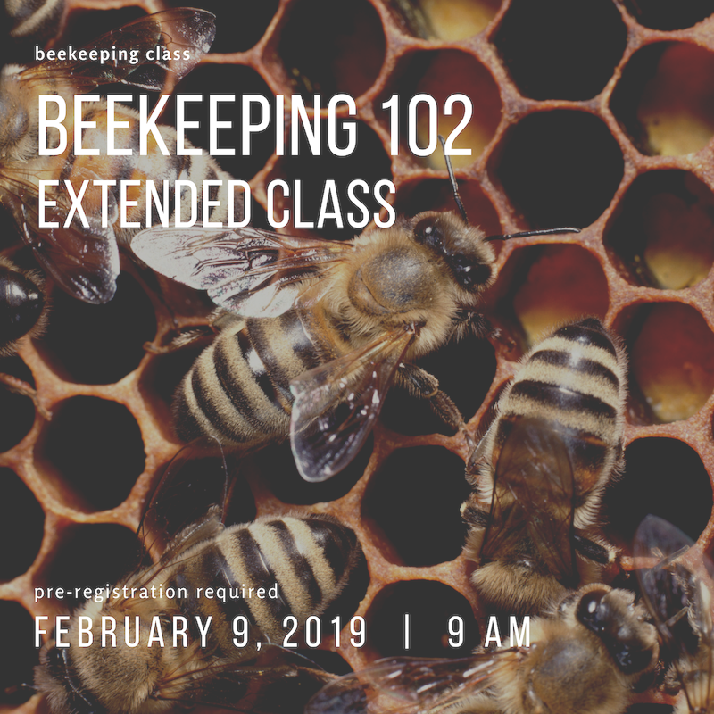 Beekeeping 102 - Extended Class