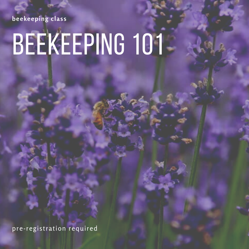 Beekeeping Class - Beekeeping 101 FAQs