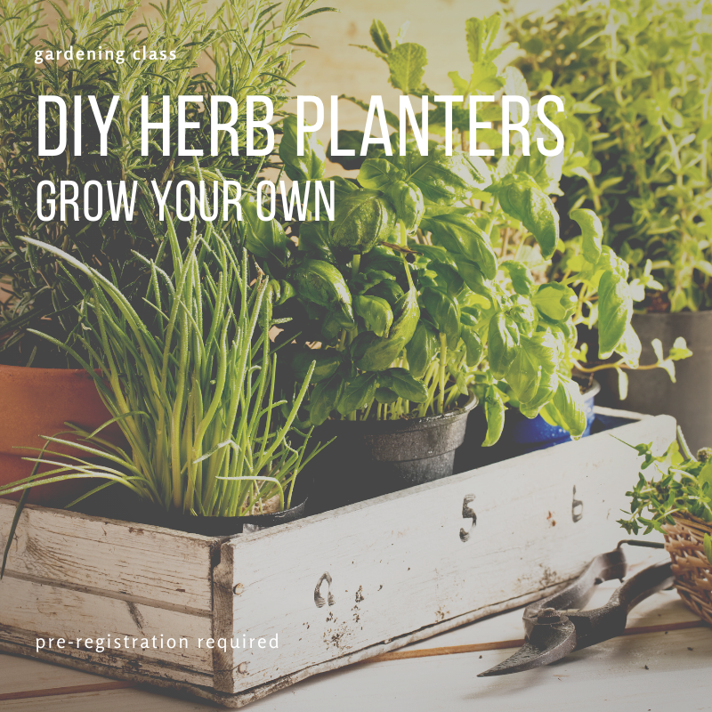 Gardening Class - DIY Herb Planters