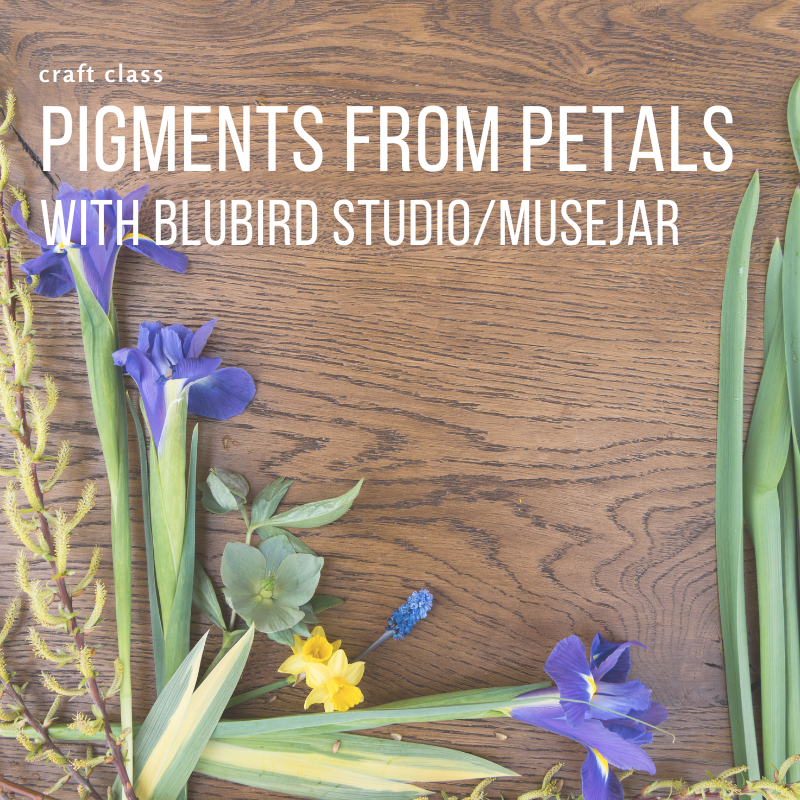Craft Class - Pigments from Petals