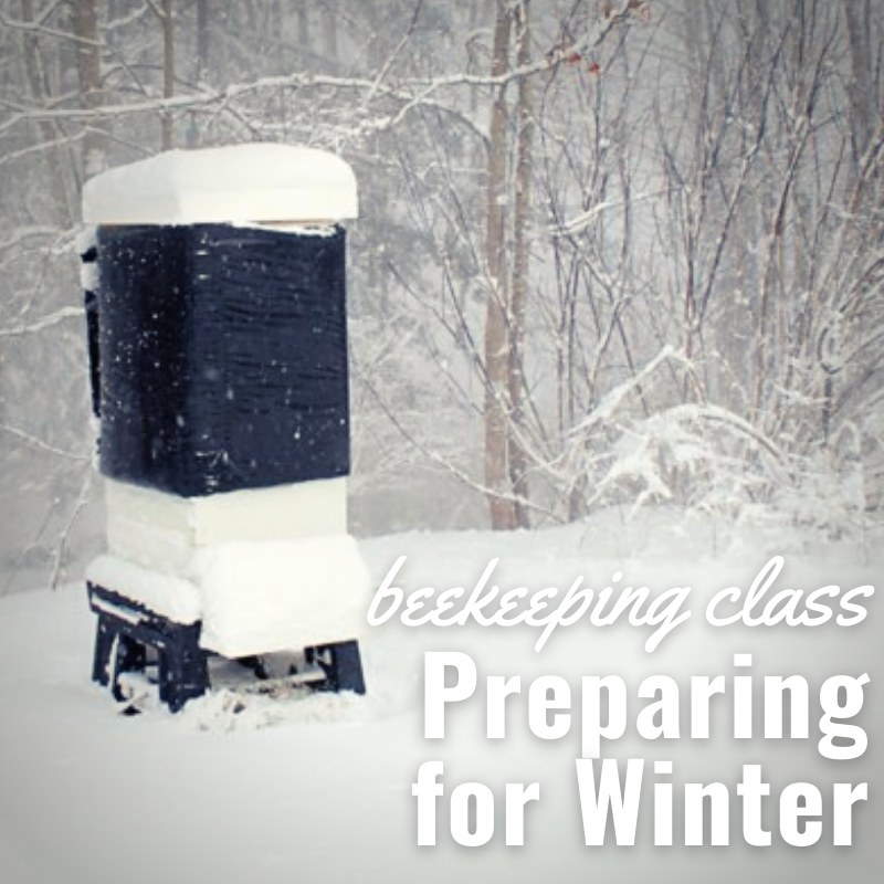Beekeeping Class - Preparing for Winter