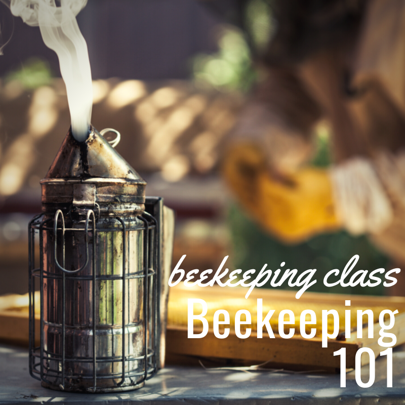 Beekeeping 101 Class