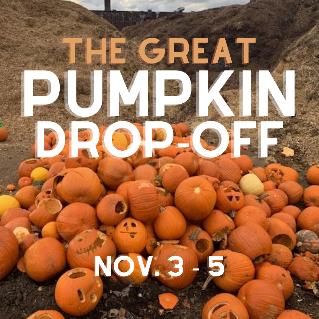 Pumpkin Drop-Off Recycling Event