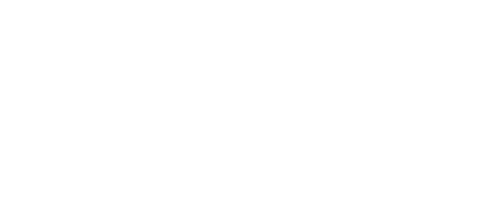 AMERICAN-logo-white (18).png