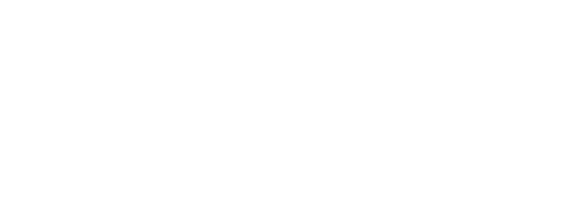 CUSTOMER-logo-white.png