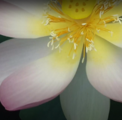 Gayatri Mantra... Shhhhhh, Peaceful...