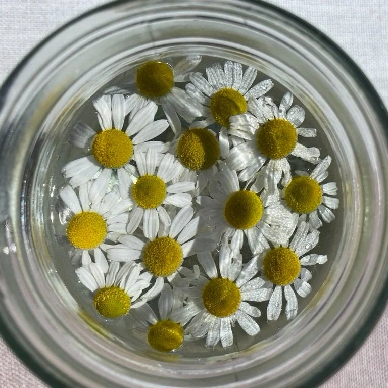 Cham+Flower+Essence.jpg