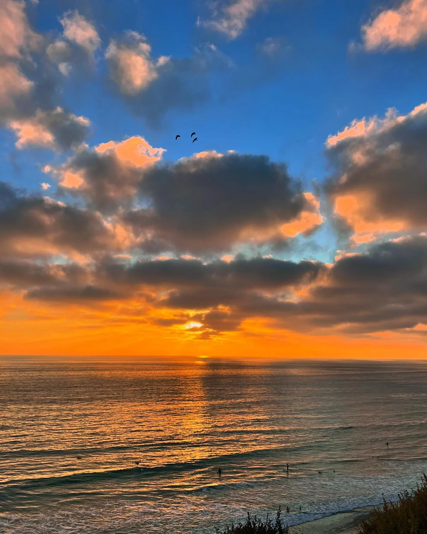 Loving the summer sunsets in Leucadia. π
 I am all for enjoying the season that you’re in but I still can’t wait for the fall crisp air to be here! π Happy mid-August! Which is your favorite, summer or fall?
#evolutionwellness_ #lovethe