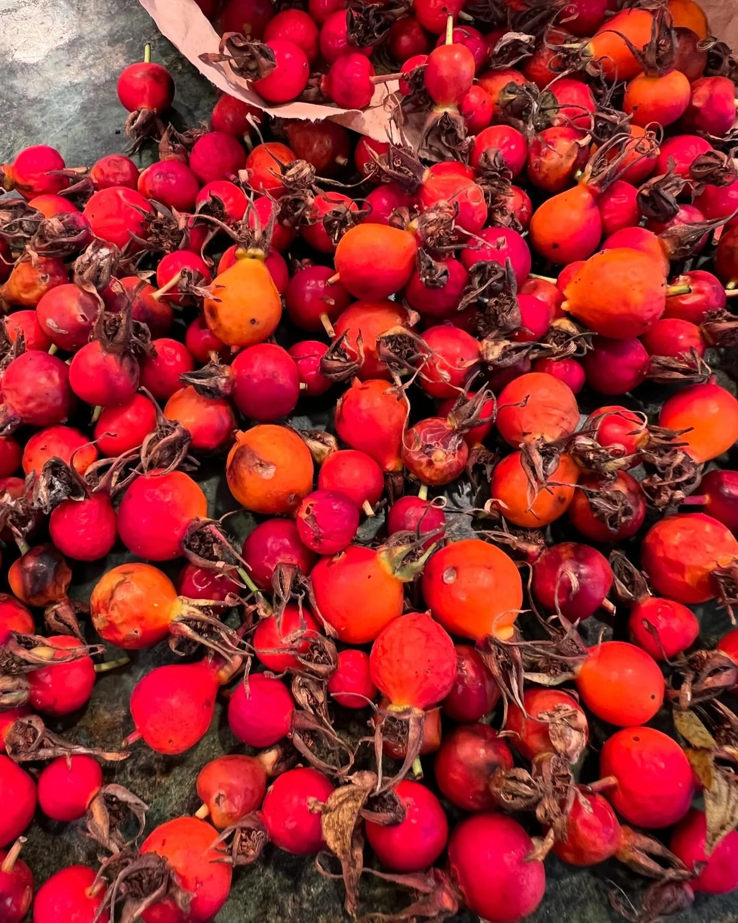 I have 2 rosehip herbal medicines available! It’s a perfect time to boost up your immune system for fall & back-to-school time. Rosehips are rich in antioxidants, supportive to the immune system, good for longevity & skin support. These