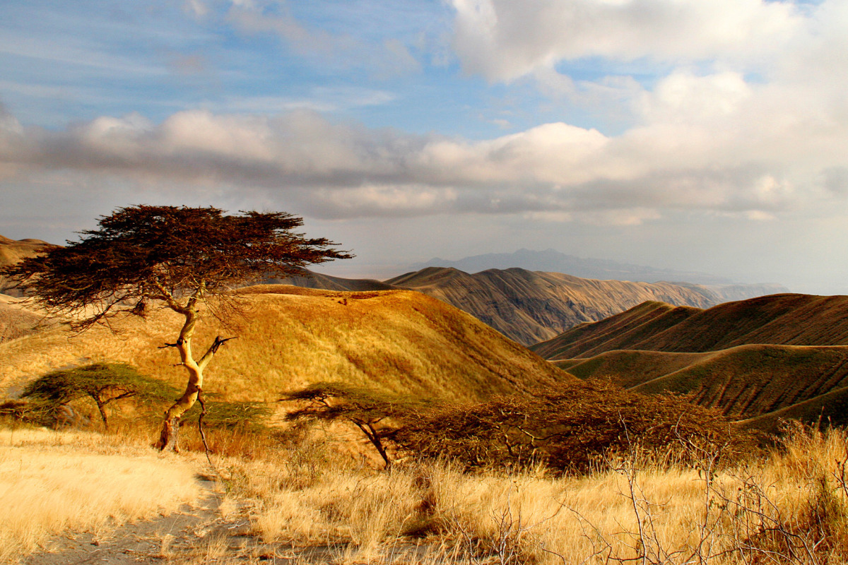 landscape-of-tanzania-northern-rift.jpg