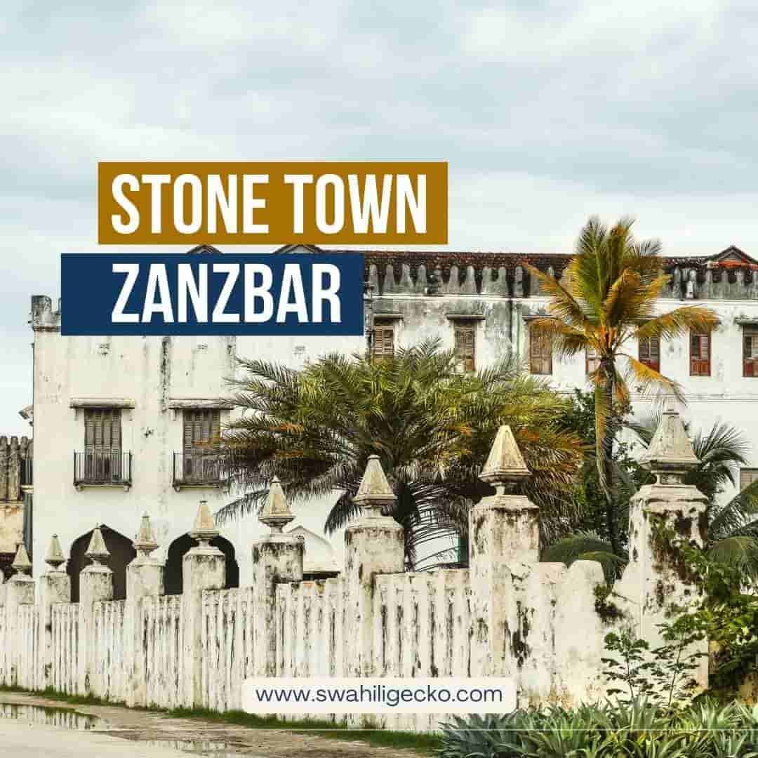 https://images.squarespace-cdn.com/content/v1/58c7717446c3c43401ee7a12/2d099dee-2188-4850-9cc2-c7487a267912/Stone+Town+Zanzibar+-+Swahili+Divers.jpg