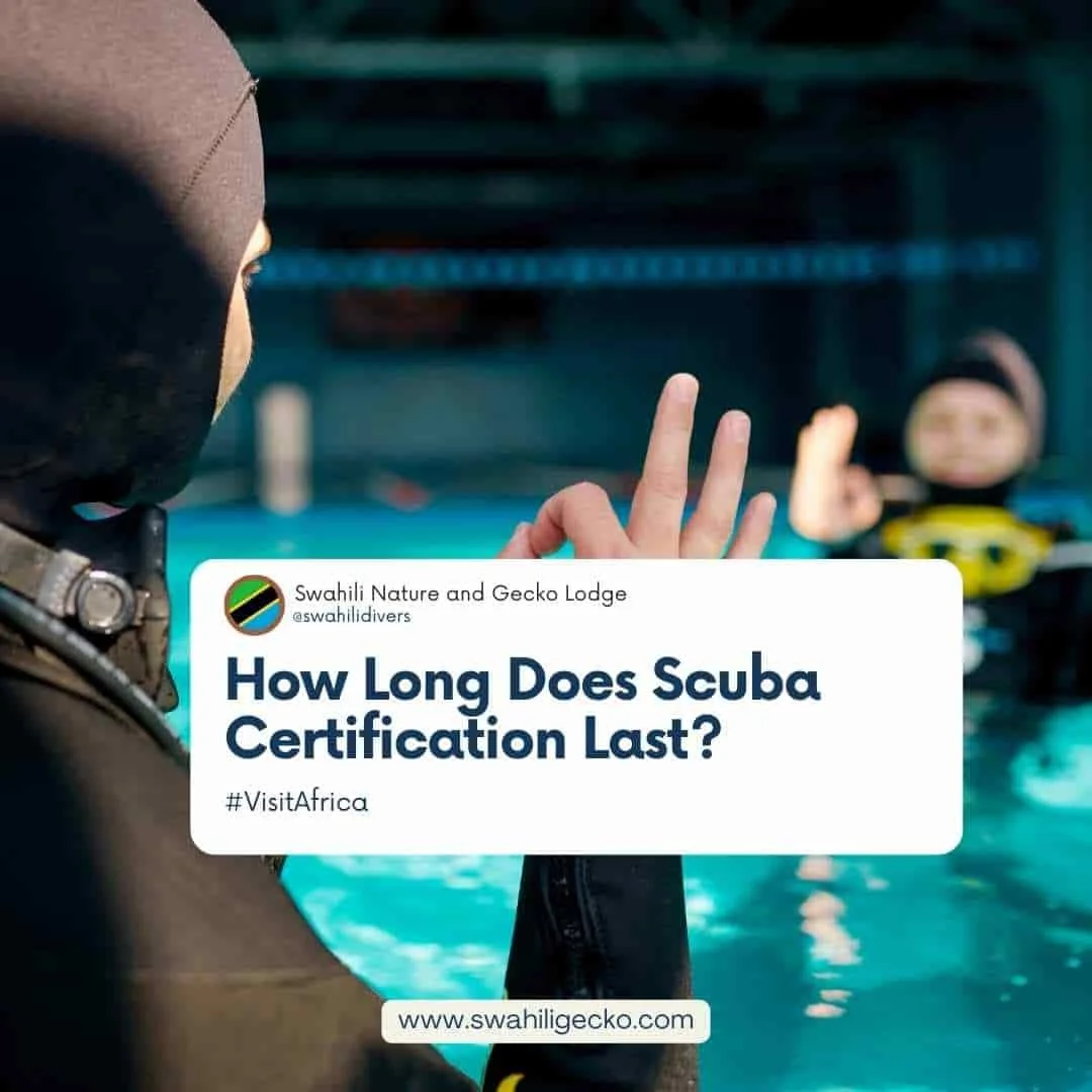 How Long Does Scuba Certification Last? — Swahili Divers