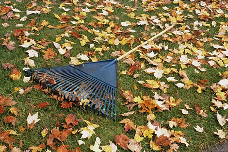 54ca73eb65f89_-_fall-leaves-rake-470-0908.jpg