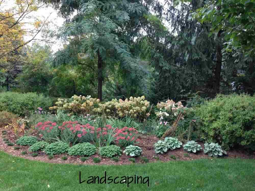 02-Shrub-flower bed.jpg