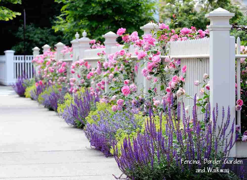 08-Fence-flowers.jpg