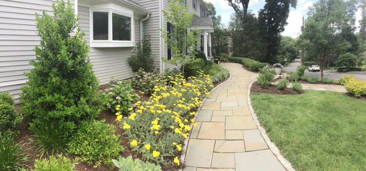 WALLACH HGTV4.jpg