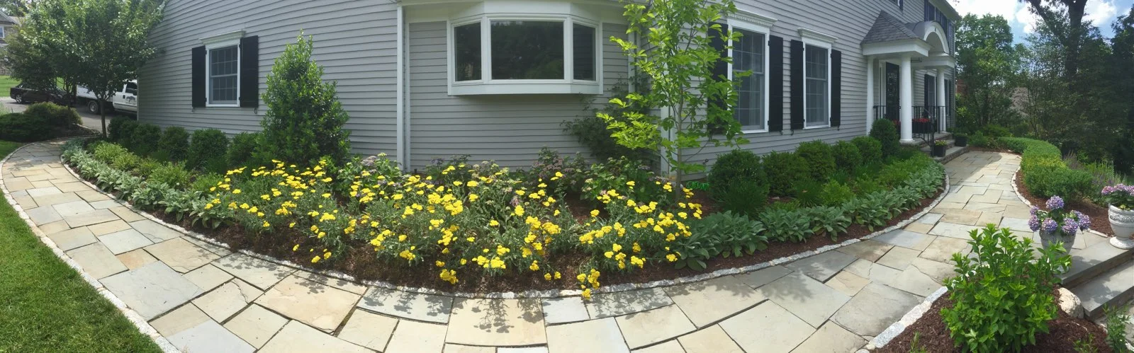 WALLACH HGTV5.jpg