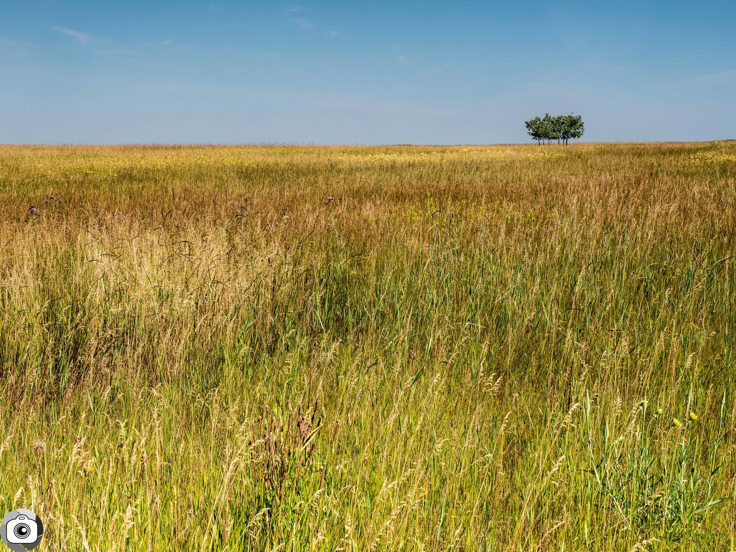 Blog_Prairie_Summer-5.jpg