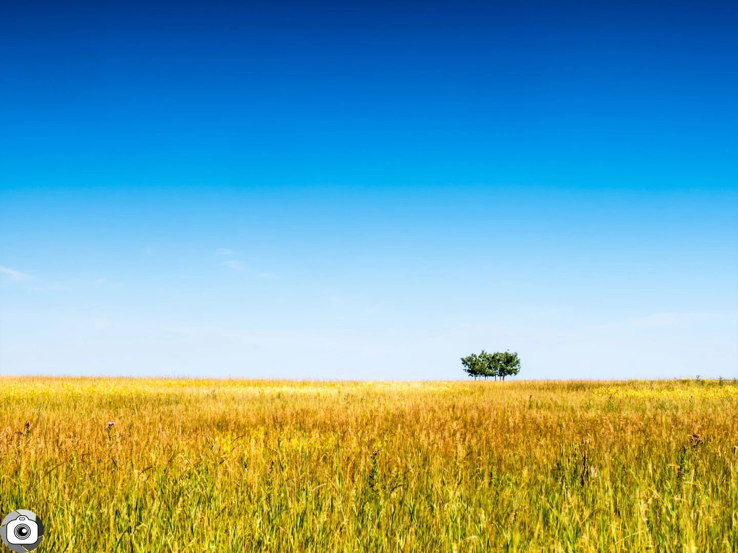 Blog_Prairie_Summer-4.jpg