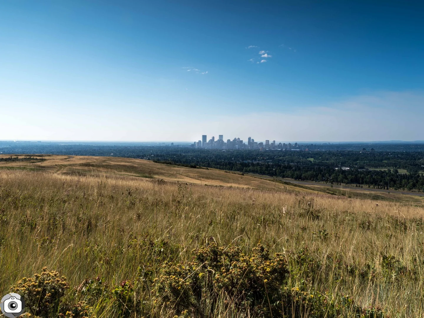 Blog_Prairie_Summer-3.jpg