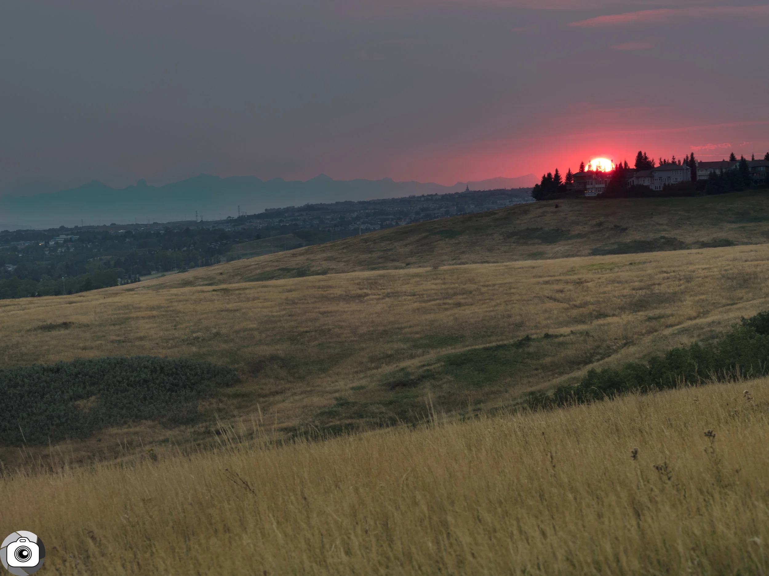Blog_Fireforest_Sunset-4.jpg