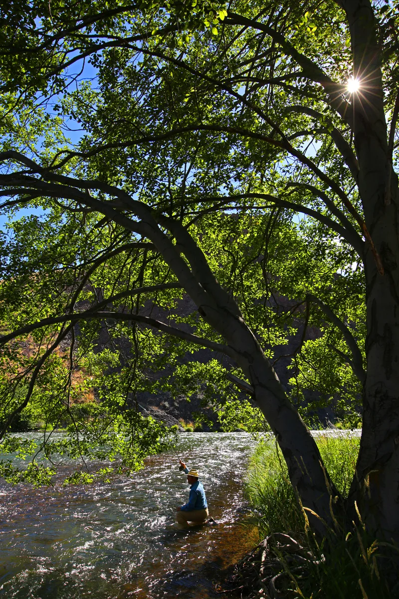 OKeefe DR float casting under tree 1 72 1200.jpg