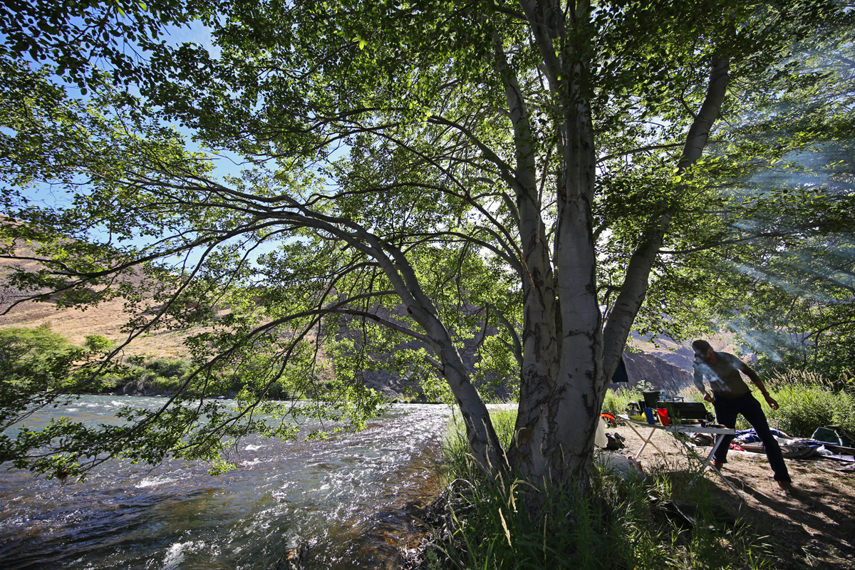 OKeefe DR float island camp JR 1 72 1200.jpg