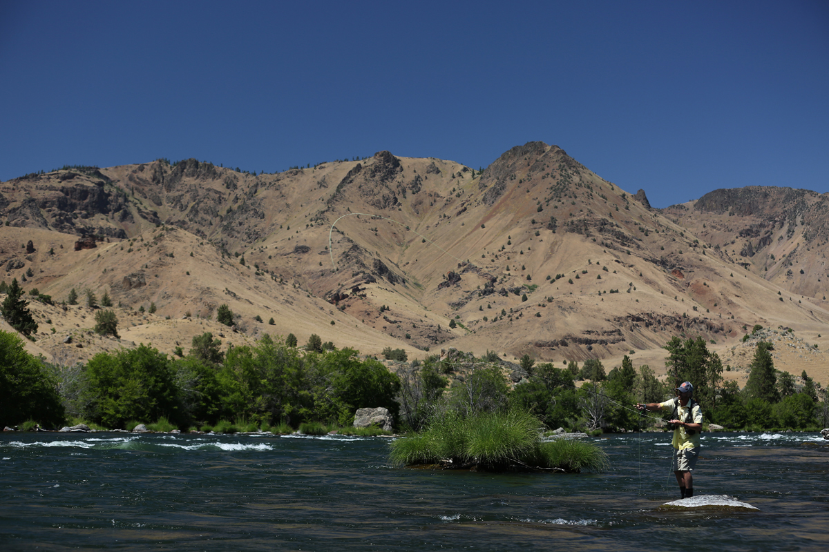 OKeefe DR float Jeff casting 22a 72 1200.jpg
