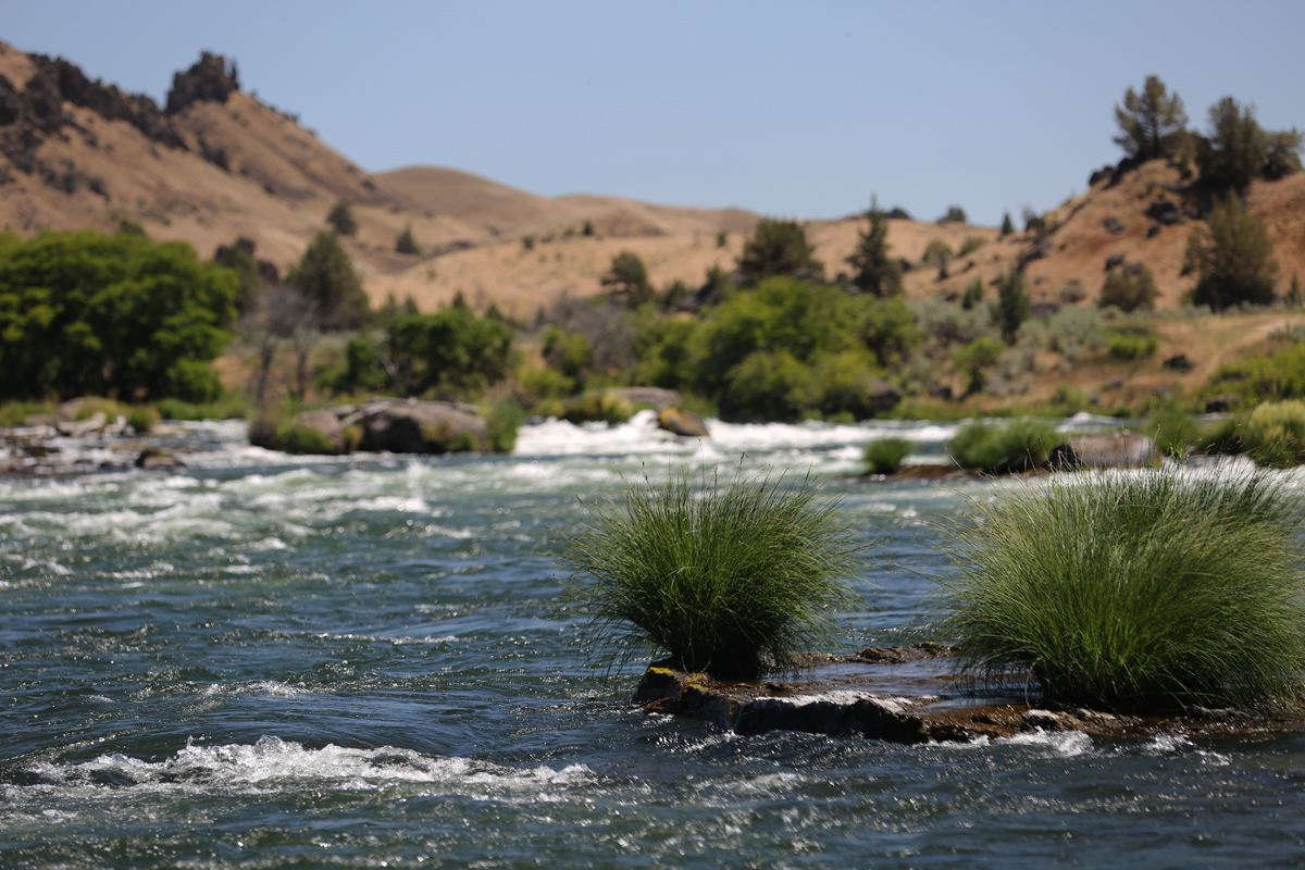 OKeefe DR float river 1 72 1200.jpg