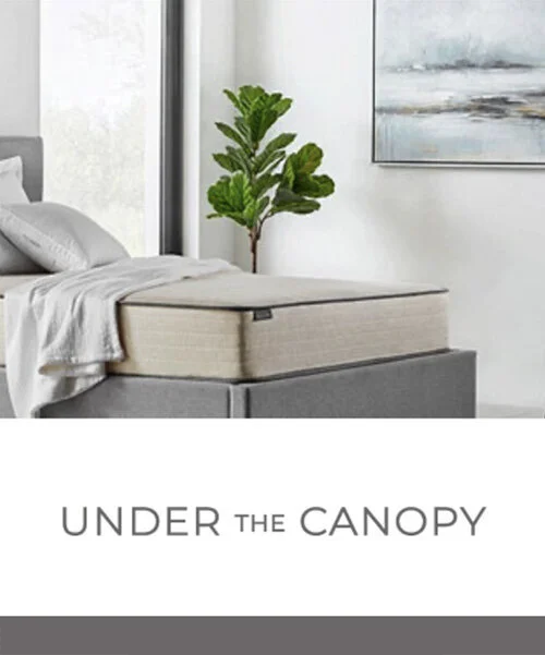 underthecanopy+copy.jpg