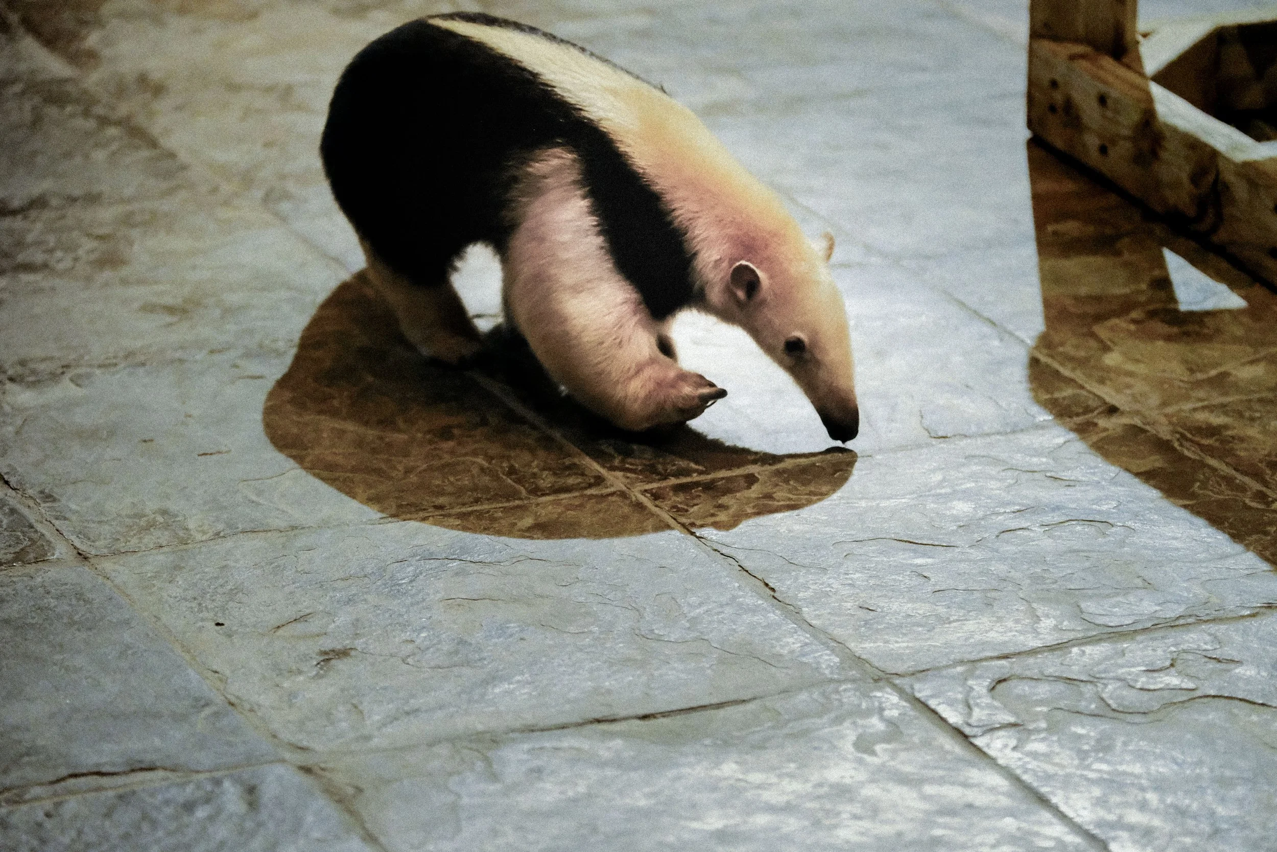 DSCF1614.jpg