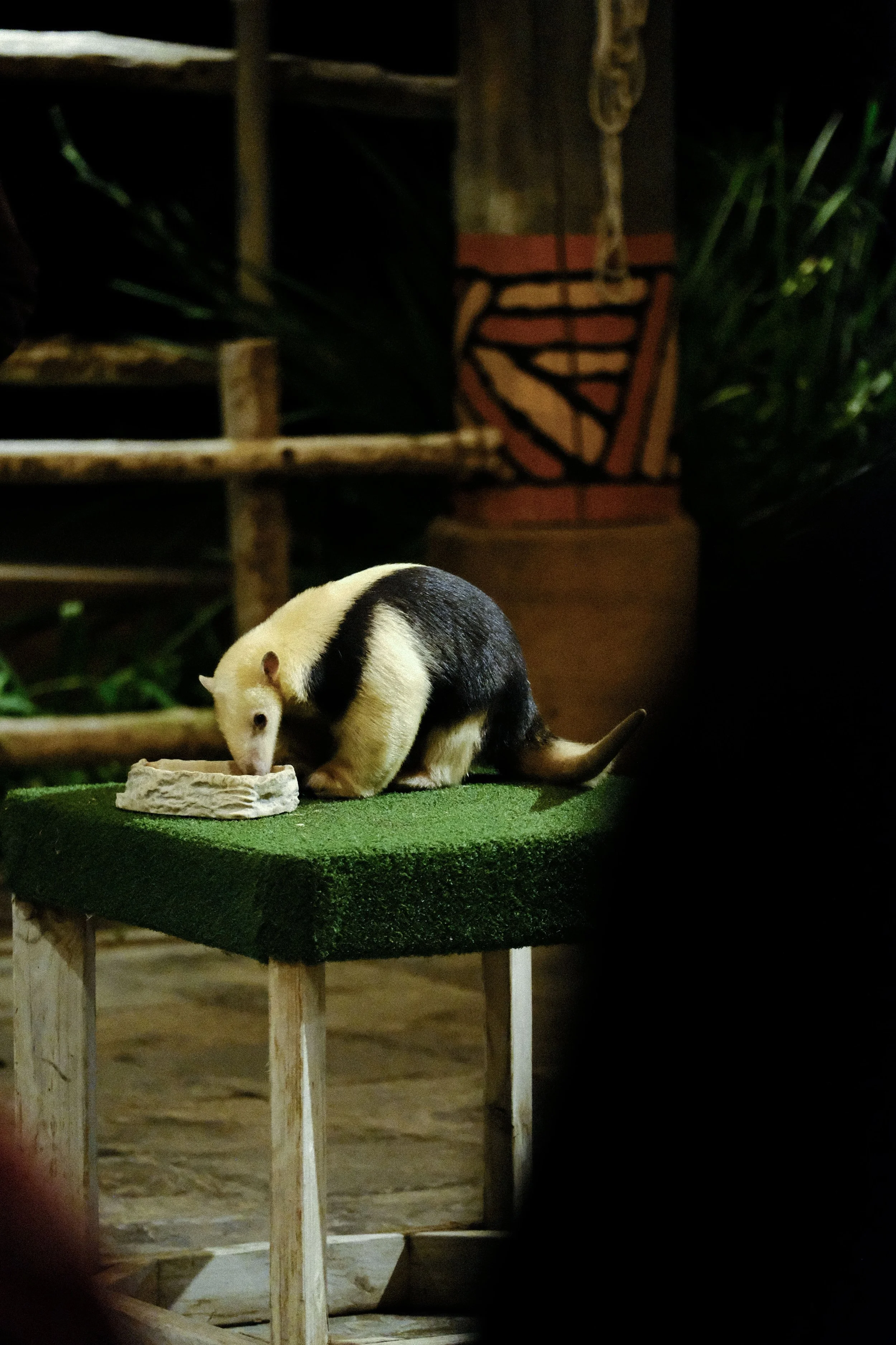 DSCF1631.jpg