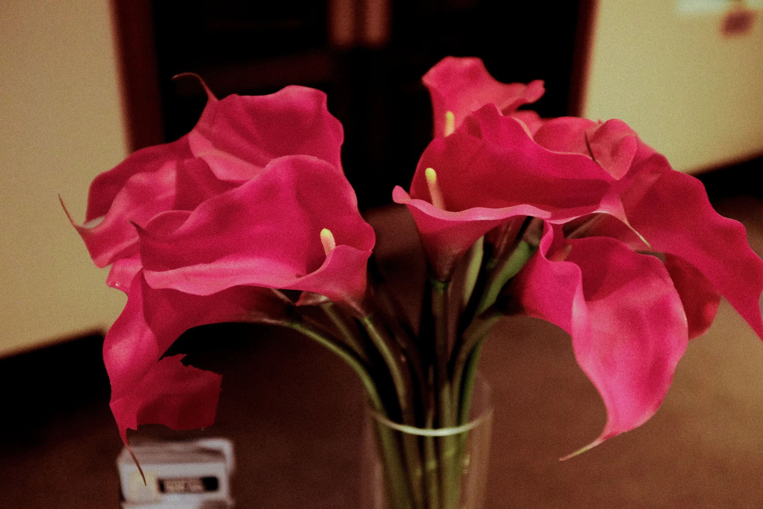 DSCF1312.jpg