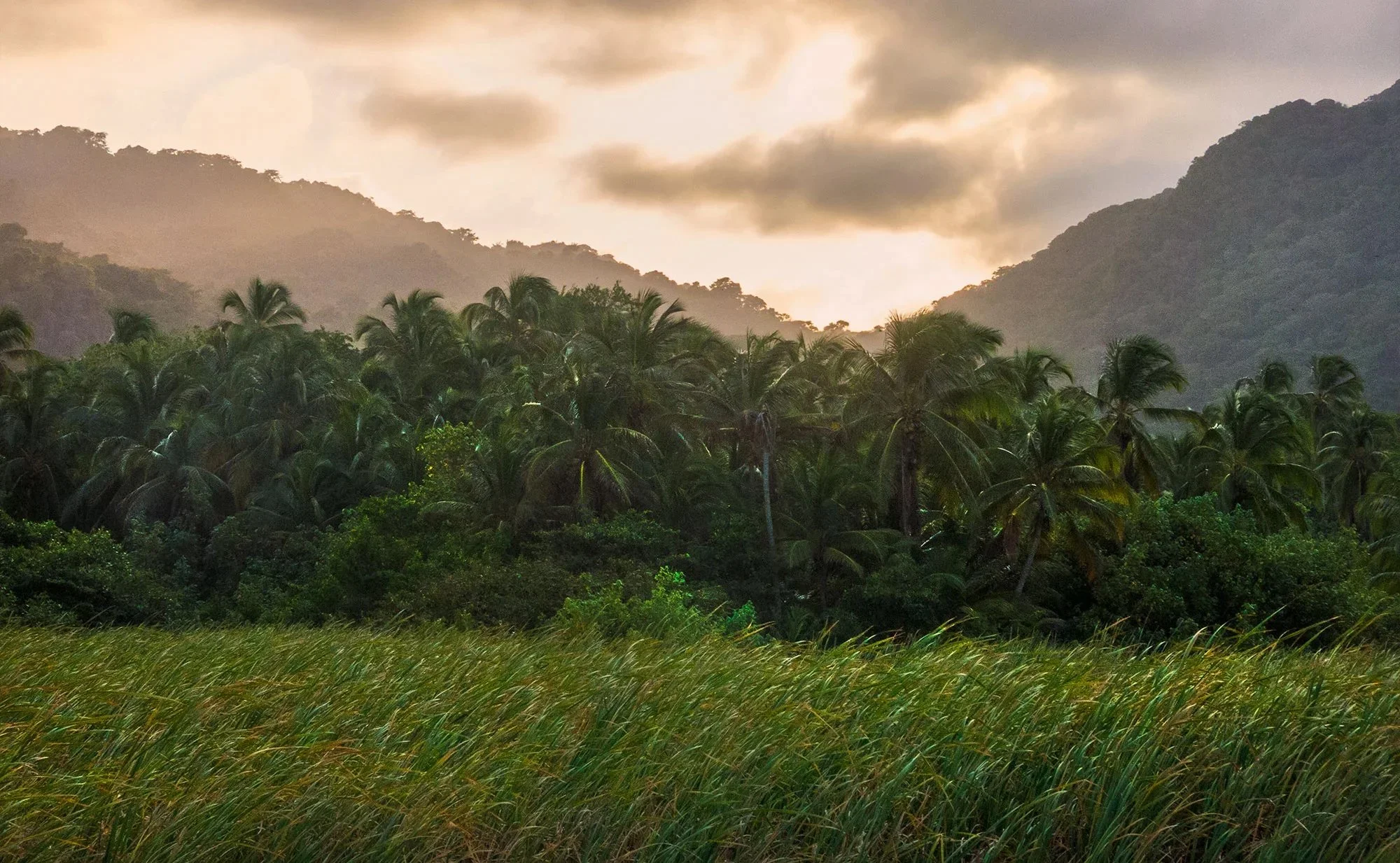 Tayrona National Park, Colombia