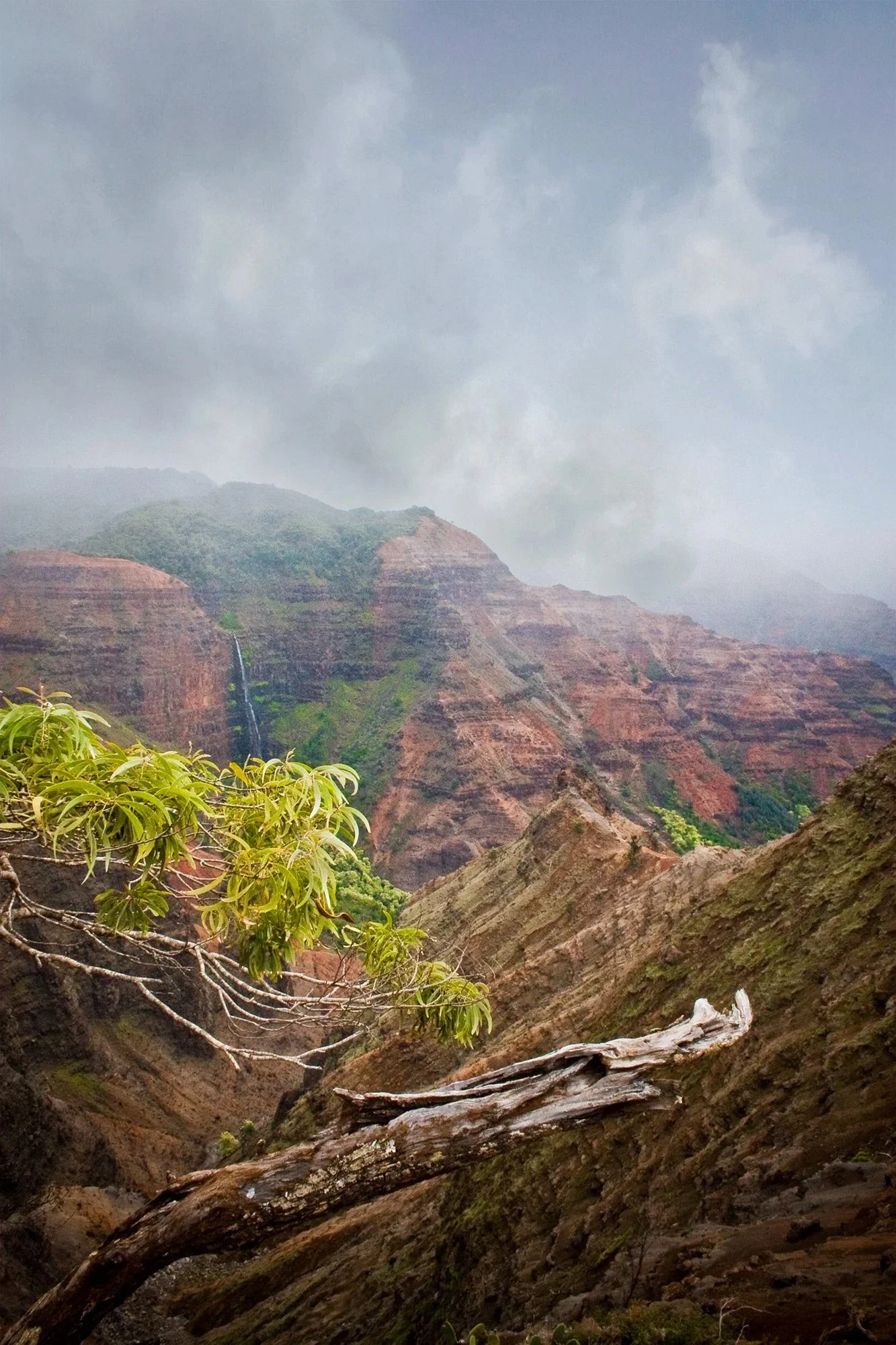 Waimea Canyon, Kauai