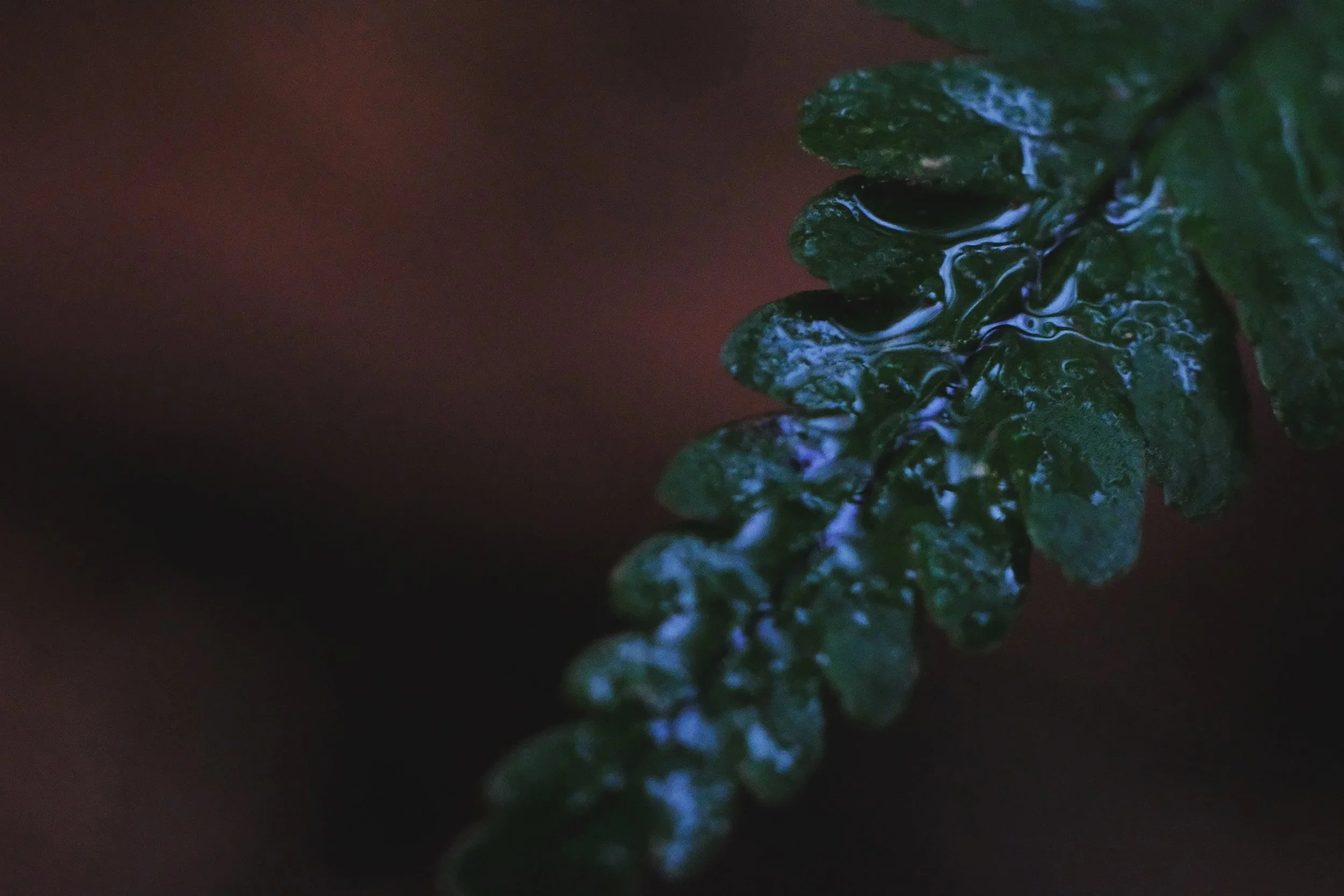 DSCF3472.jpg