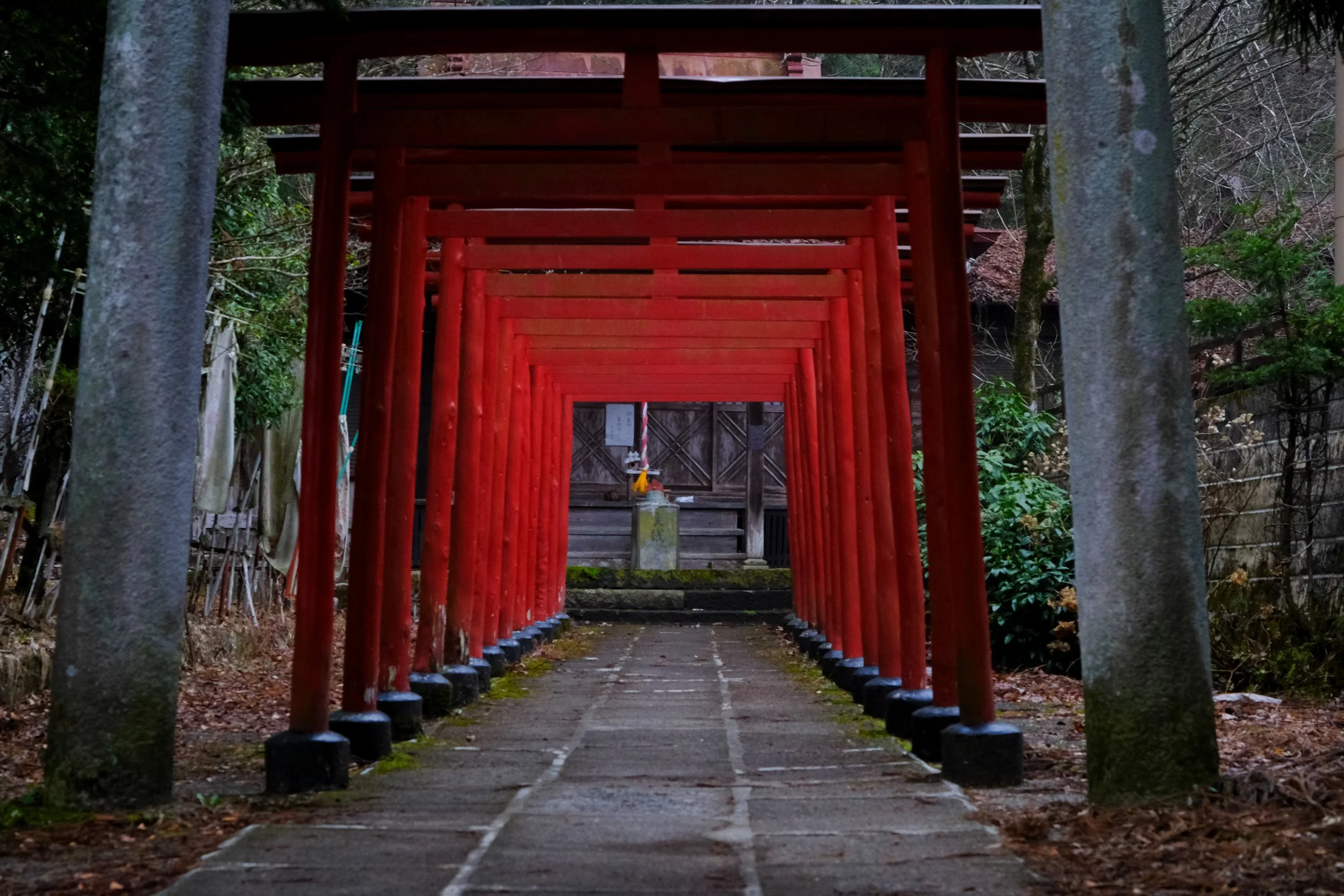 DSCF3473.jpg