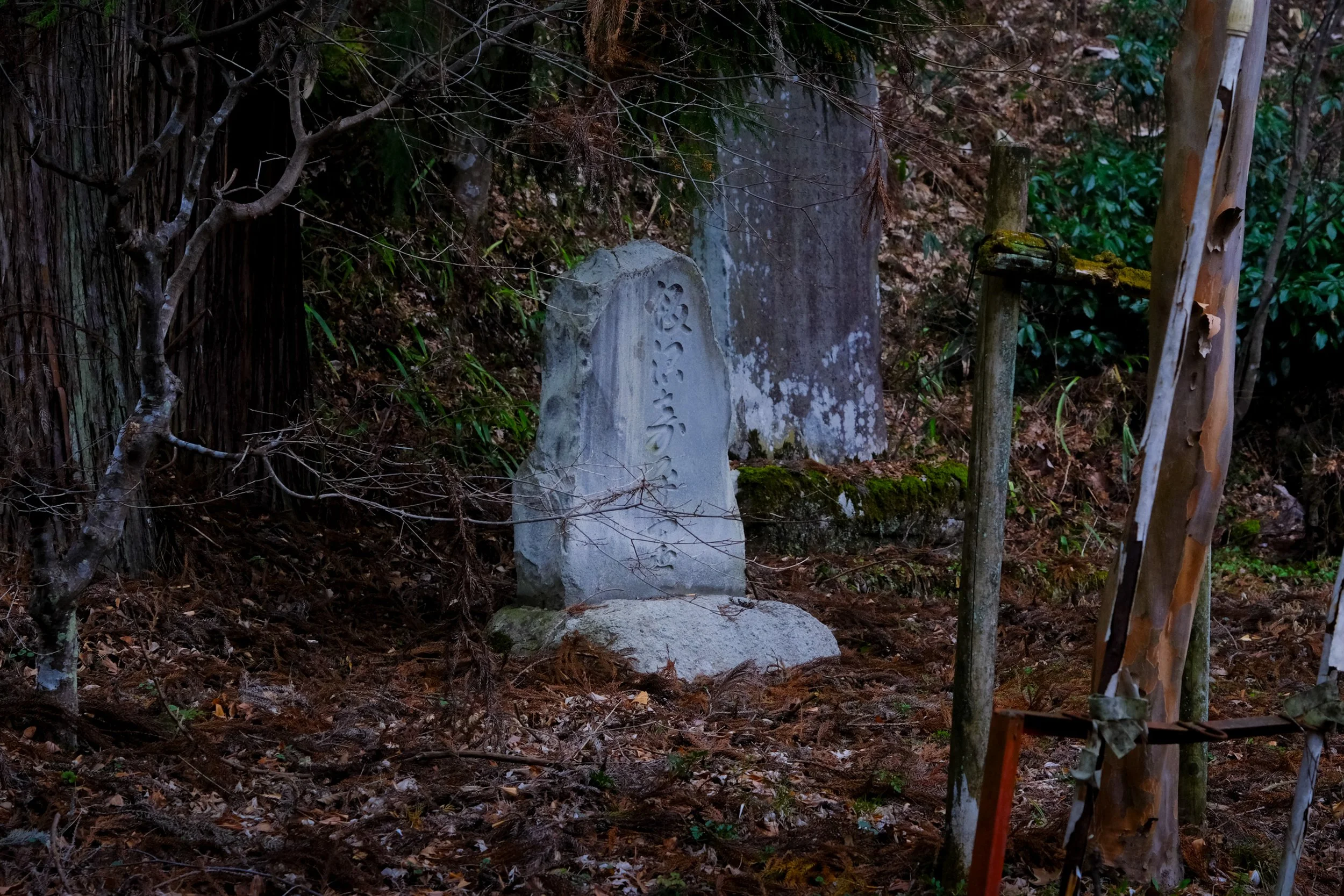 DSCF3483.jpg