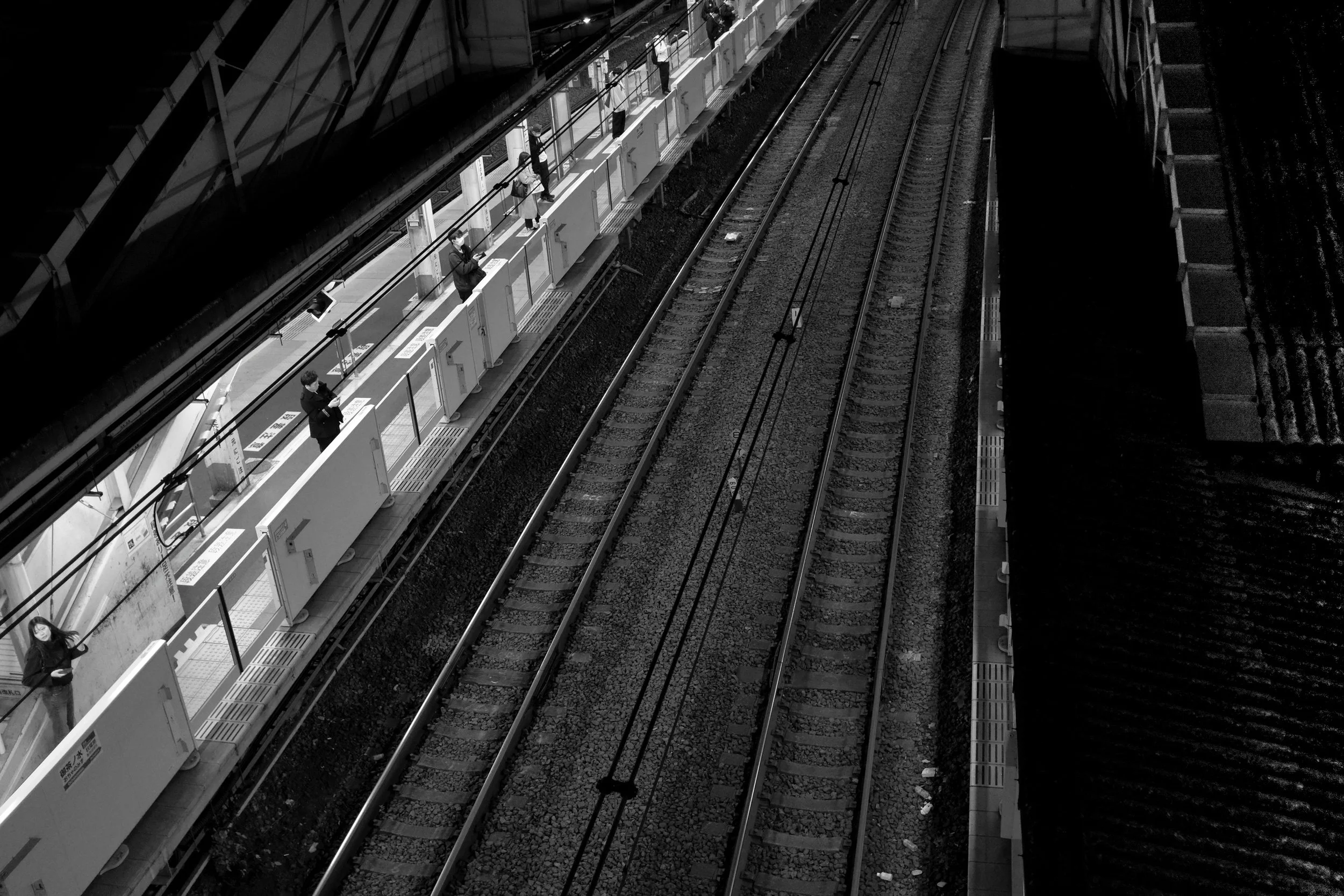 DSCF2948-1.jpg