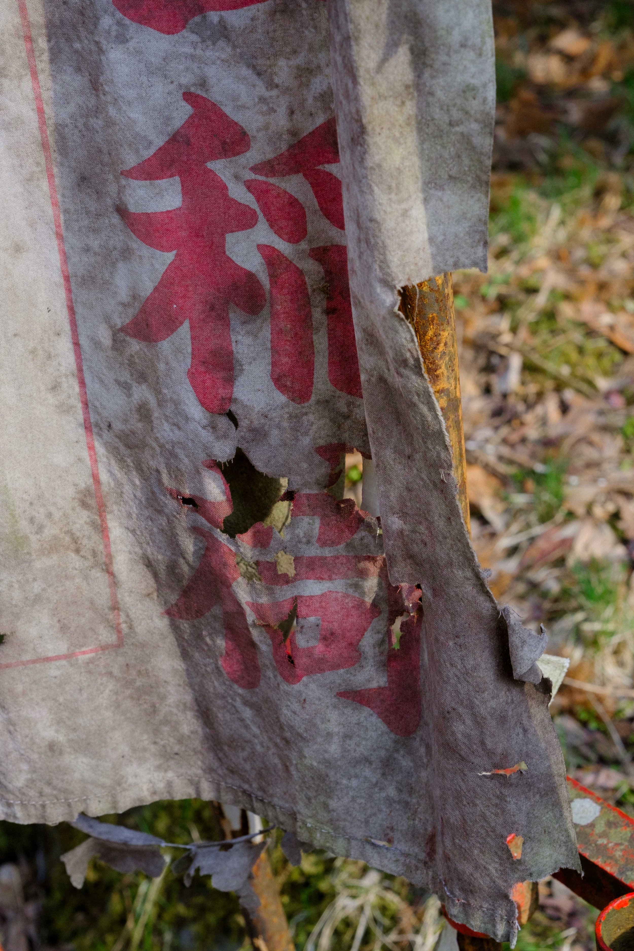 DSCF3405-1.jpg