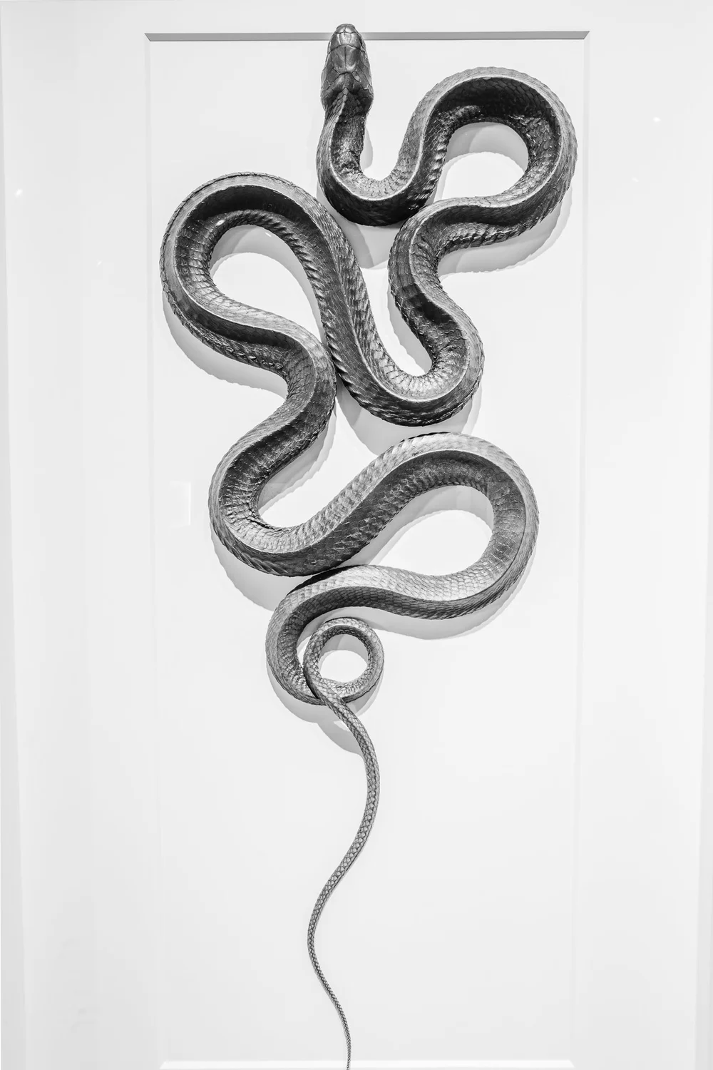 Exquisite Creatures at Science Museum of MN-01.jpg