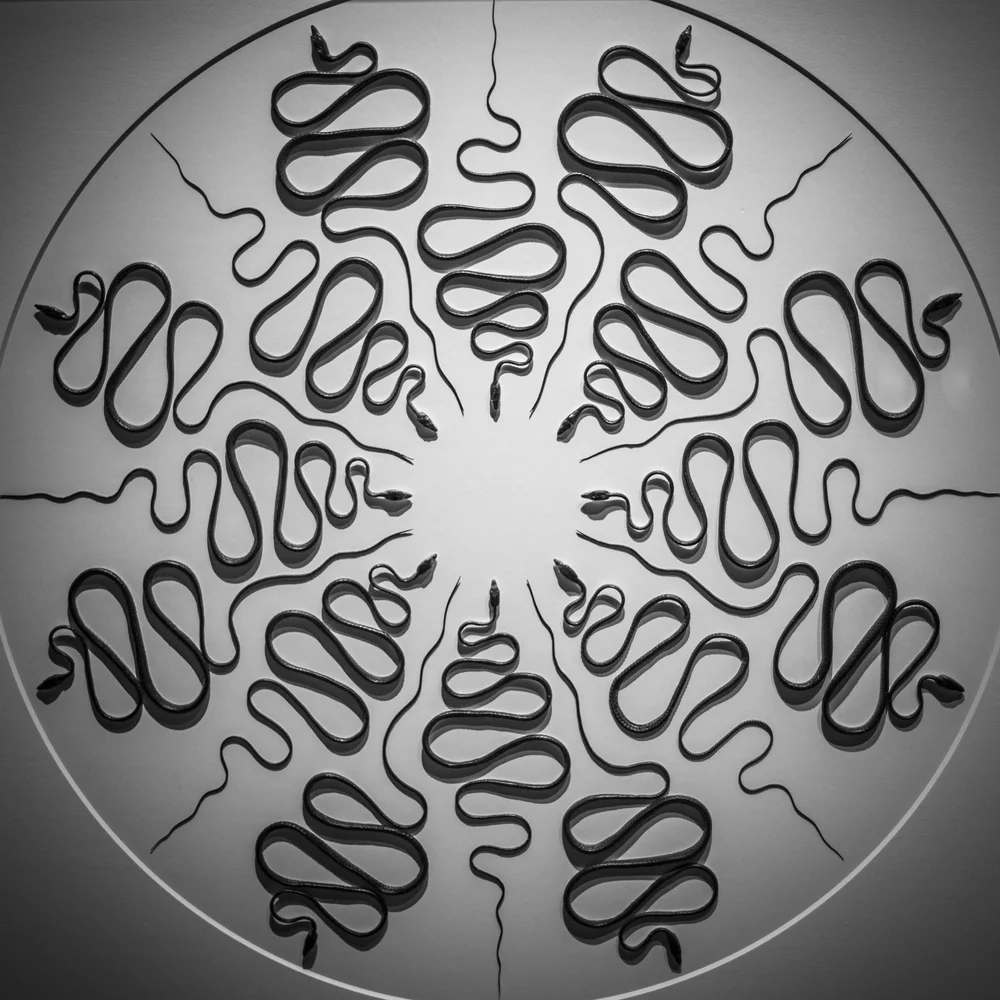 Exquisite Creatures at Science Museum of MN-53.jpg