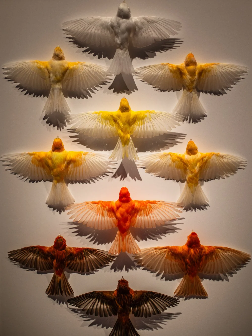 Exquisite Creatures at Science Museum of MN-28.jpg