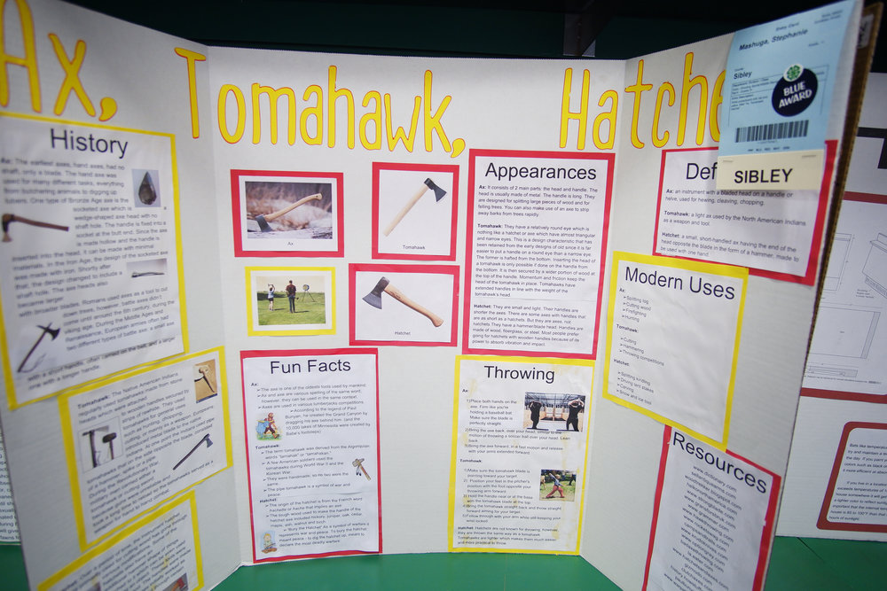 4H Reports at the Minnesota State Fair