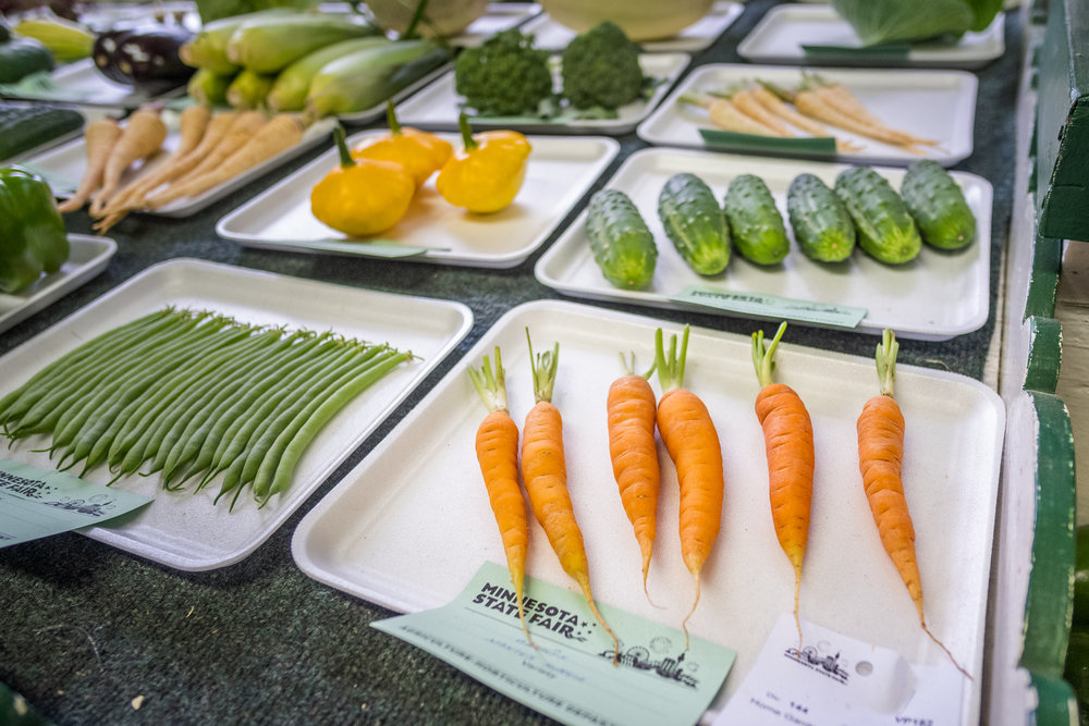 Minnesota State Fair Prize Vegetables