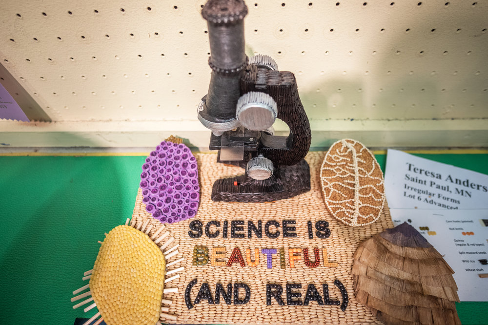 Minnesota State Fair Crop Art