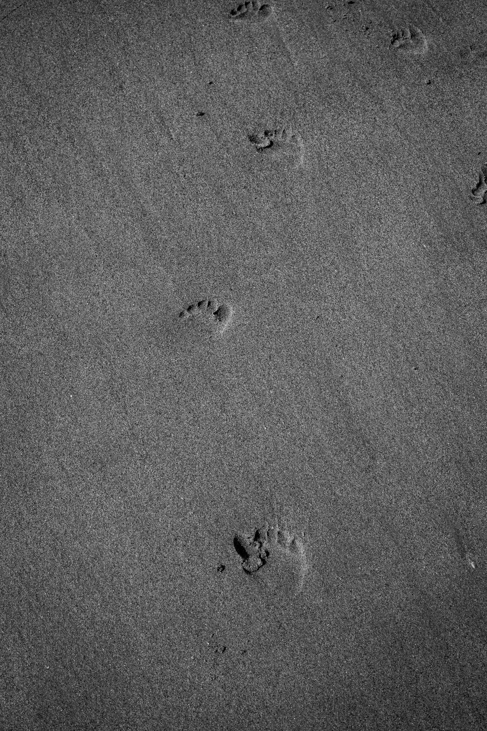 Little footprints