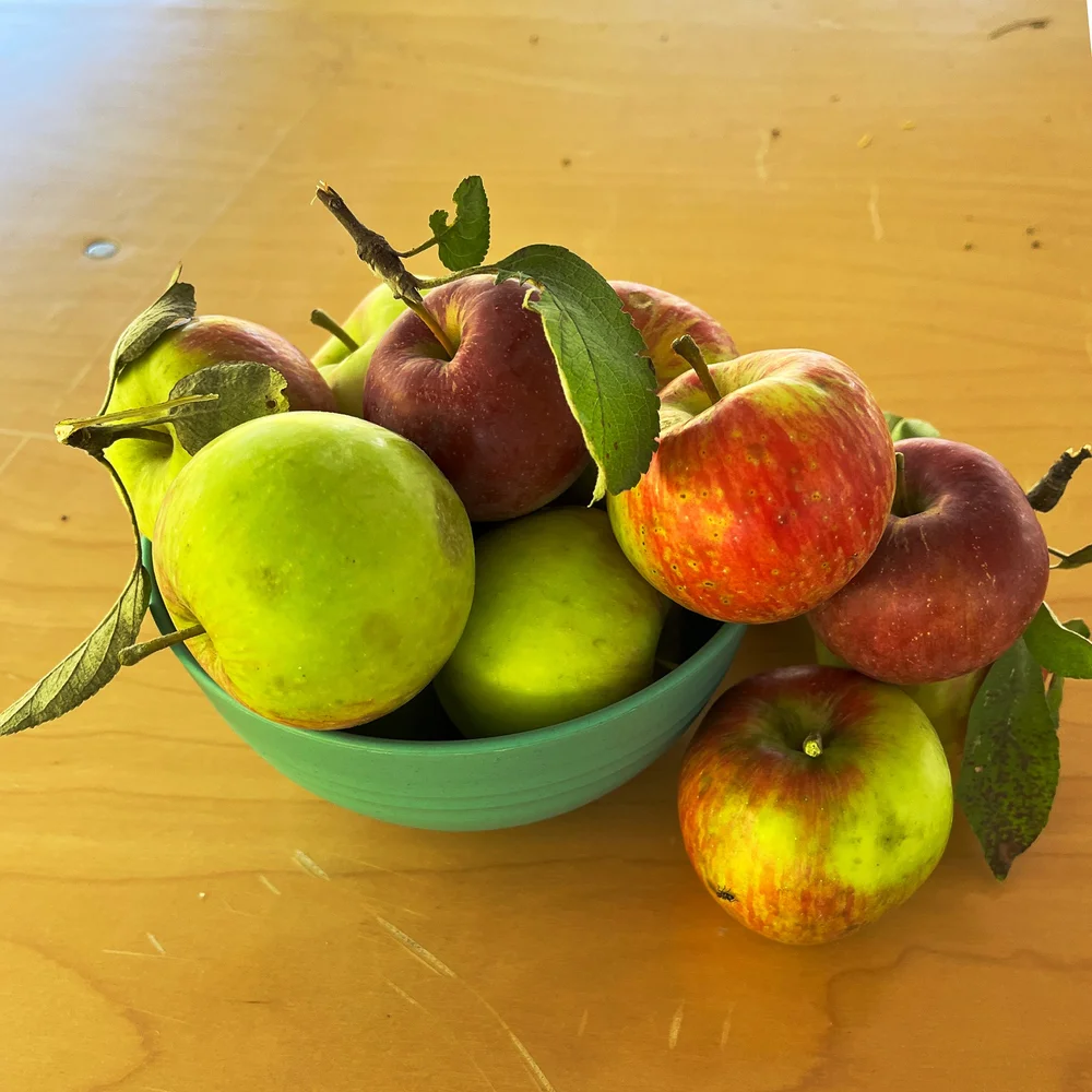 A nice centerpiece of Wisconsin apples