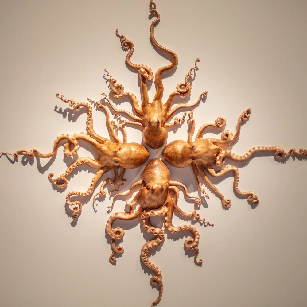 Exquisite Creatures at Science Museum of MN-37.jpg