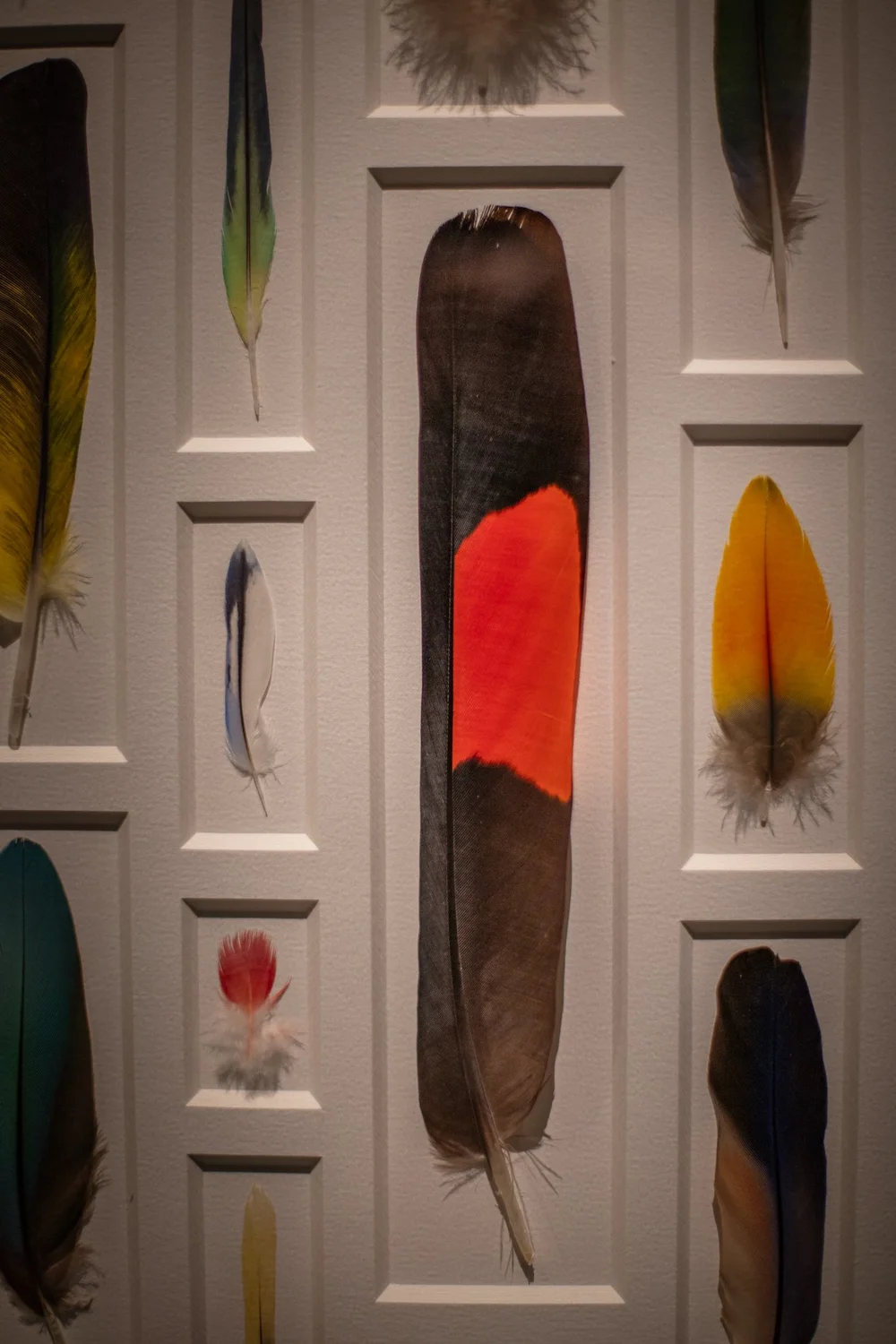 Exquisite Creatures at Science Museum of MN-23.jpg